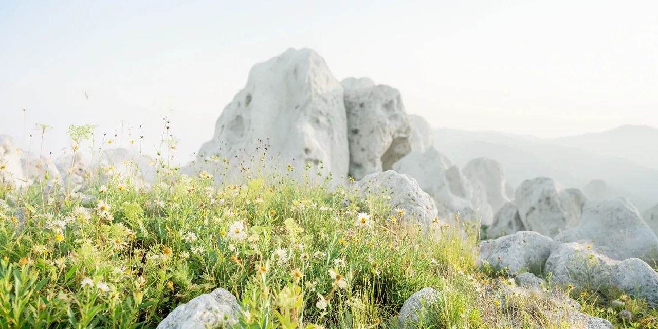 Natural Purity